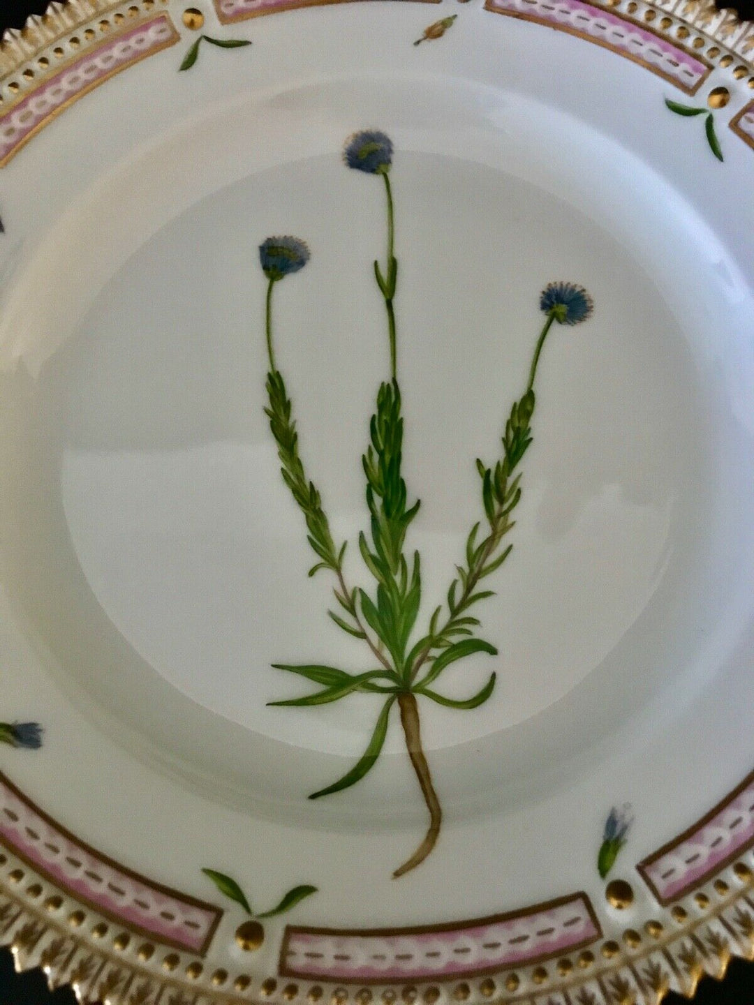 Royal Copenhagen FLORA DANICA Porcelain 7 1/2" Salad Plate #3573