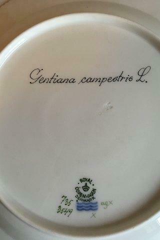 Royal Copenhagen Flora Danica Dinner Plate No 735/3549