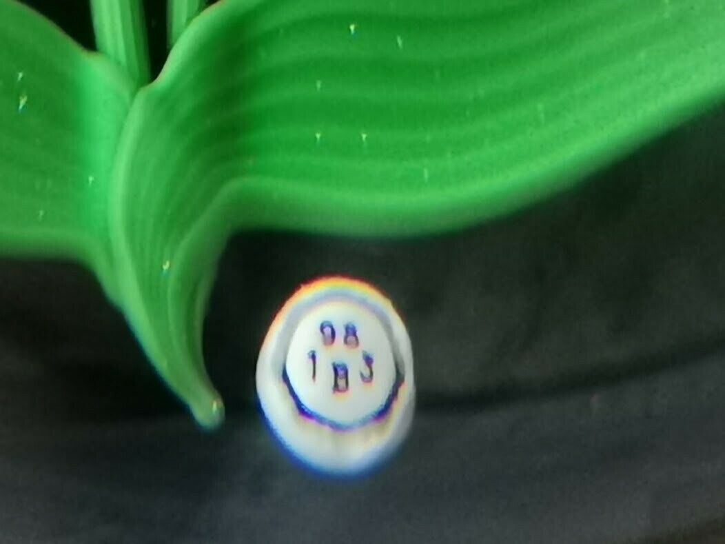 Crystal BACCARAT Red FLOWER Art Glass PAPERWEIGHT 1983' Limited EDITION