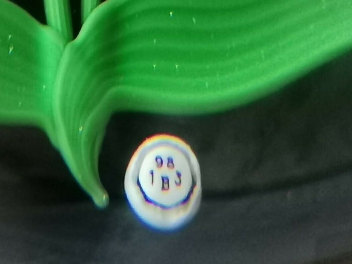 Crystal BACCARAT Red FLOWER Art Glass PAPERWEIGHT 1983' Limited EDITION