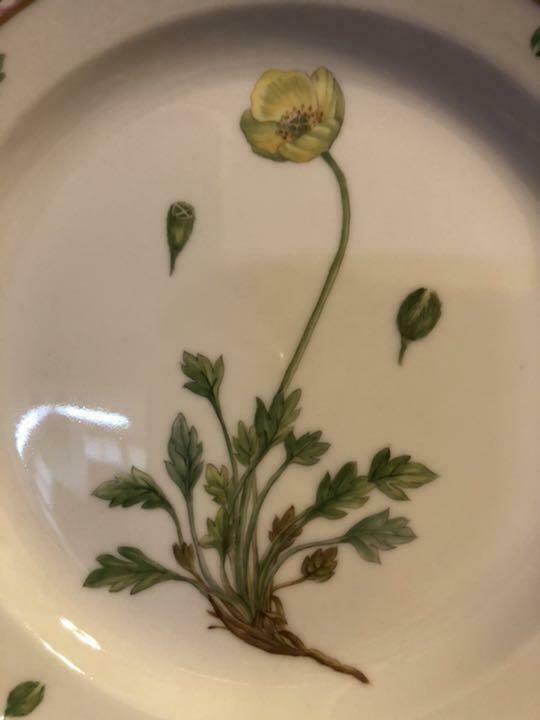 Royal Copenhagen Flora Danica Cake plate 22cm