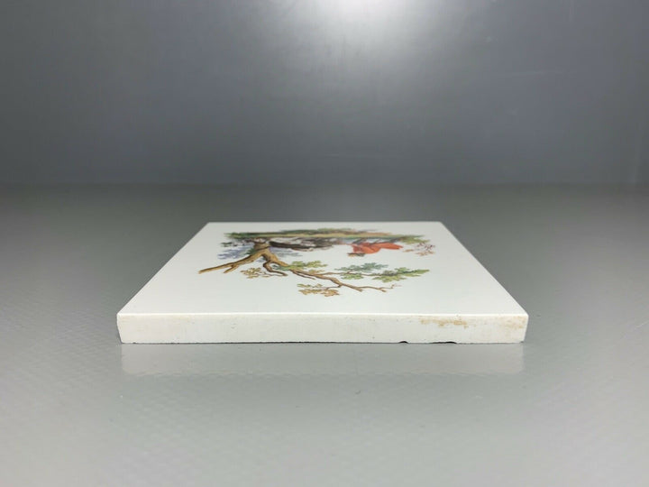 MEISSEN FLIESE KACHEL JAGD WILDSCHWEIN WILDMALEREI NACH RIDINGER 10x10cm 1.WAHL