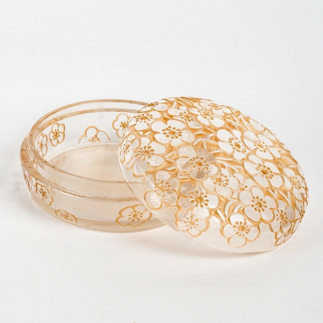 Boite Émiliane Patine Sepia René Lalique Stained Glass Box Jar R.Lalique