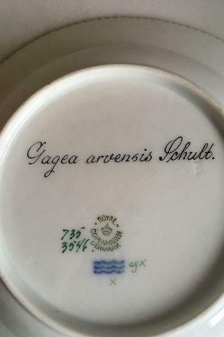 Royal Copenhagen Flora Danica Dessert Plate No 735/3546