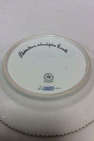 ロイヤルコペンハーゲン フローラダニカ サラダプレート No 20/3573