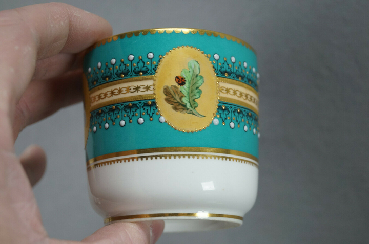 ロイヤルウースター　バタフライのカップ＆ソーサー