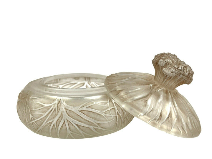 Boite Cheveux De Vénus Patiné Sépia René Lalique Brown Stain Box Jar R.Lalique