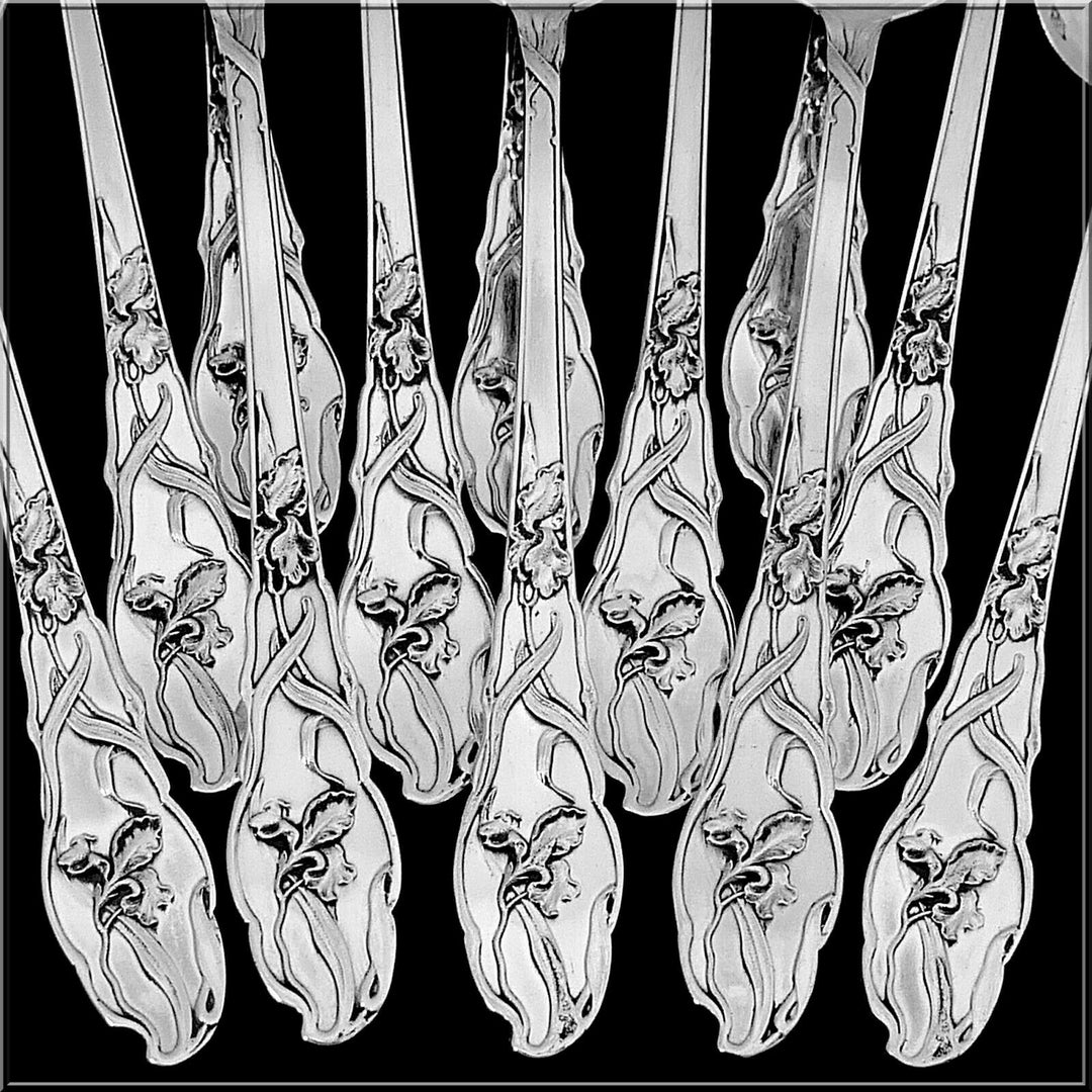 Ravinet Rare French Sterling Silver Tea Coffee Spoons Set 12 Pc, Iris, Box
