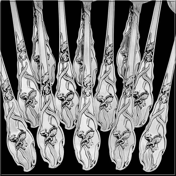 Ravinet Rare French Sterling Silver Tea Coffee Spoons Set 12 Pc, Iris, Box