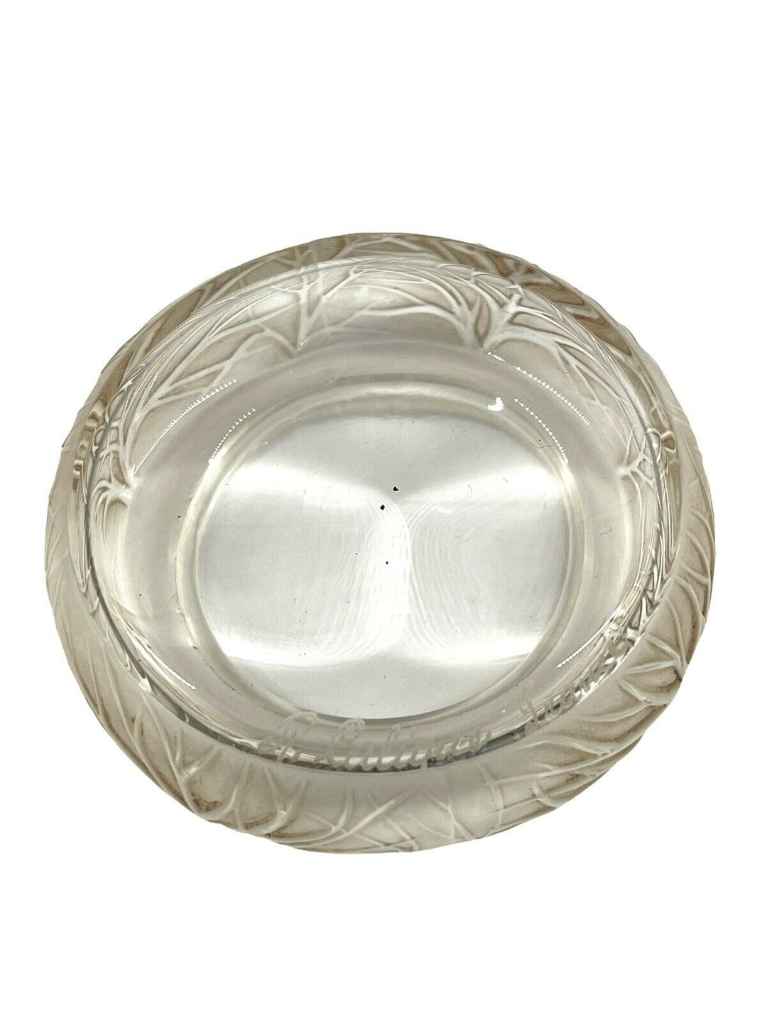 Boite Cheveux De Vénus Patiné Sépia René Lalique Brown Stain Box Jar R.Lalique