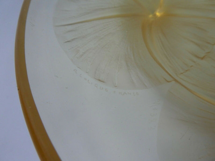 RENE LALIQUE volubilis’, C. 1920. AMBER BOWL