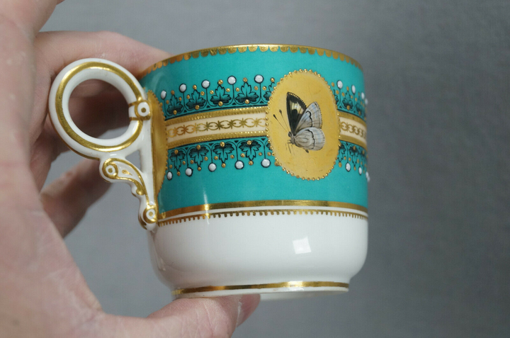 ロイヤルウースター　バタフライのカップ＆ソーサー