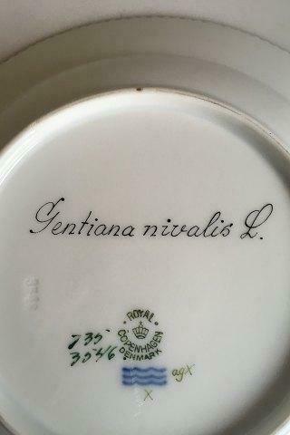 Royal Copenhagen Flora Danica Dessert Plate No 735/3546