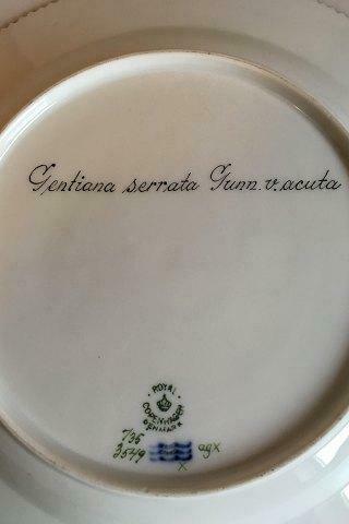 Royal Copenhagen Flora Danica Dinner Plate No 735/3549