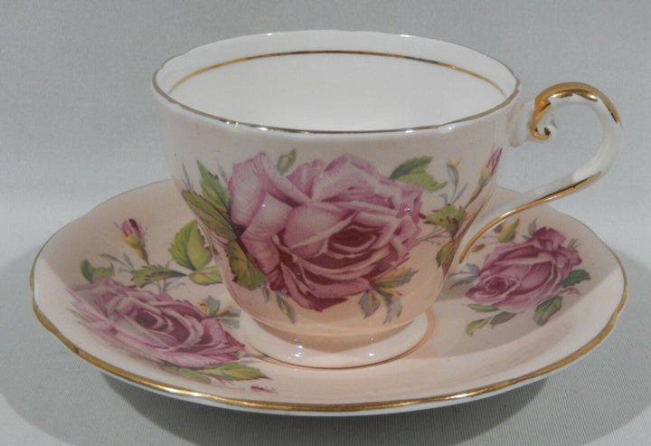Vintage 1950s AYNSLEY PINK CABBAGE ROSE CUP & SAUCER on PALE PEACH BACKGROUND