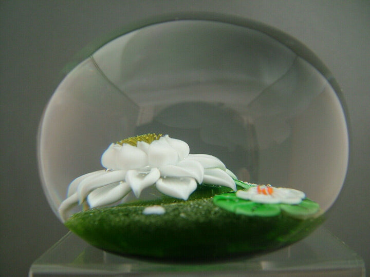Beautiful Ltd. ed. Baccarat 1977 Water Lillies Paperweight
