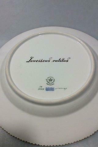 Royal Copenhagen Flora Danica Fish Plate No 19/3549