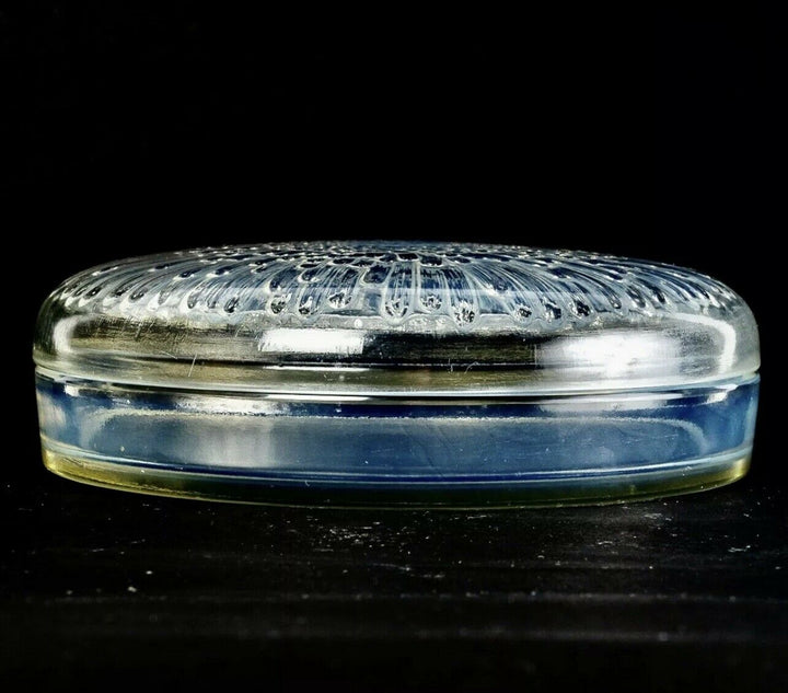 Boite Tokyo Chrysanthème Opalescence René Lalique Opalescent Box Jar R.Lalique