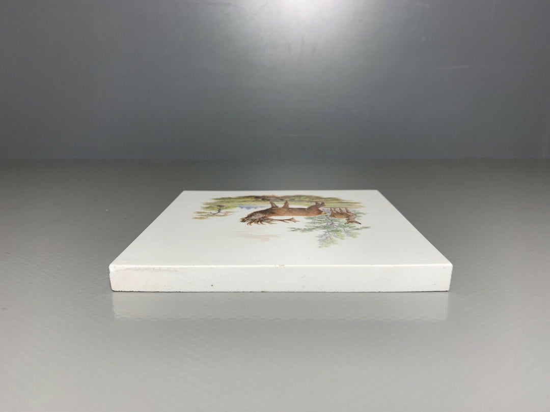 SELTENE MEISSEN FLIESE KACHEL HIRSCH WILDMALEREI NACH RIDINGER 10x10cm 1.WAHL