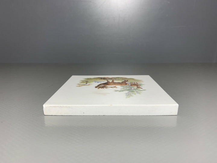 SELTENE MEISSEN FLIESE KACHEL HIRSCH WILDMALEREI NACH RIDINGER 10x10cm 1.WAHL