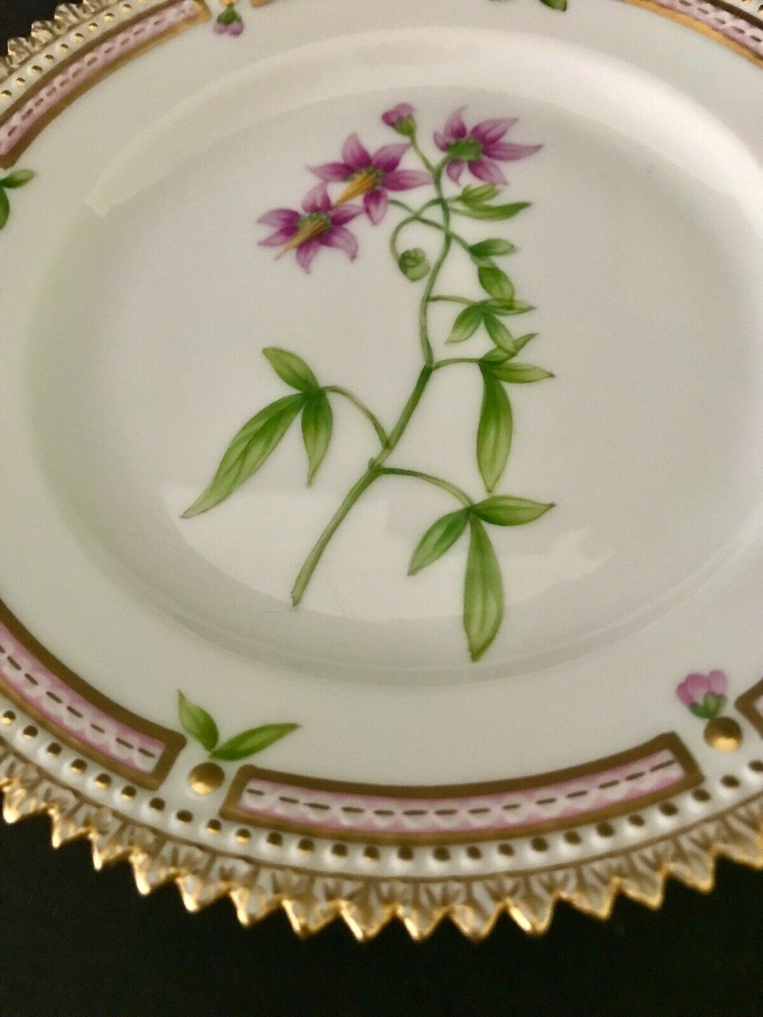 Royal Copenhagen Flora Danica Bread Plate 20/3552 Solanum Dulcamara L.