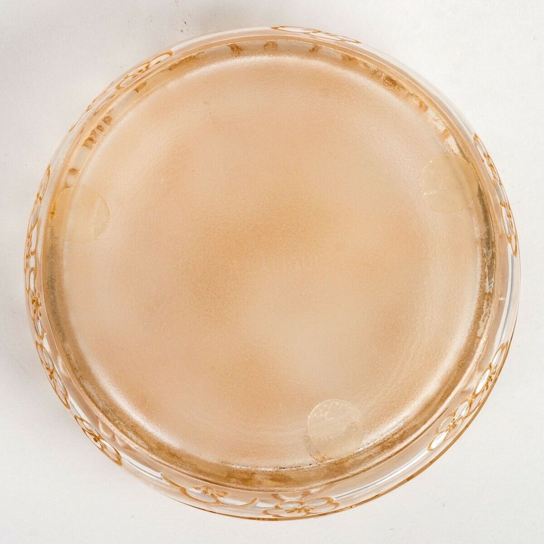 Boite Émiliane Patine Sepia René Lalique Stained Glass Box Jar R.Lalique