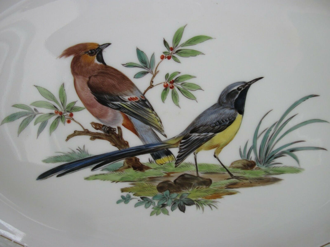 マイセン(Meissen)、楕円形プレート、鳥・昆虫柄、1級品