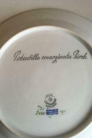 Royal Copenhagen Flora Danica Lunch Plate No 735/3550