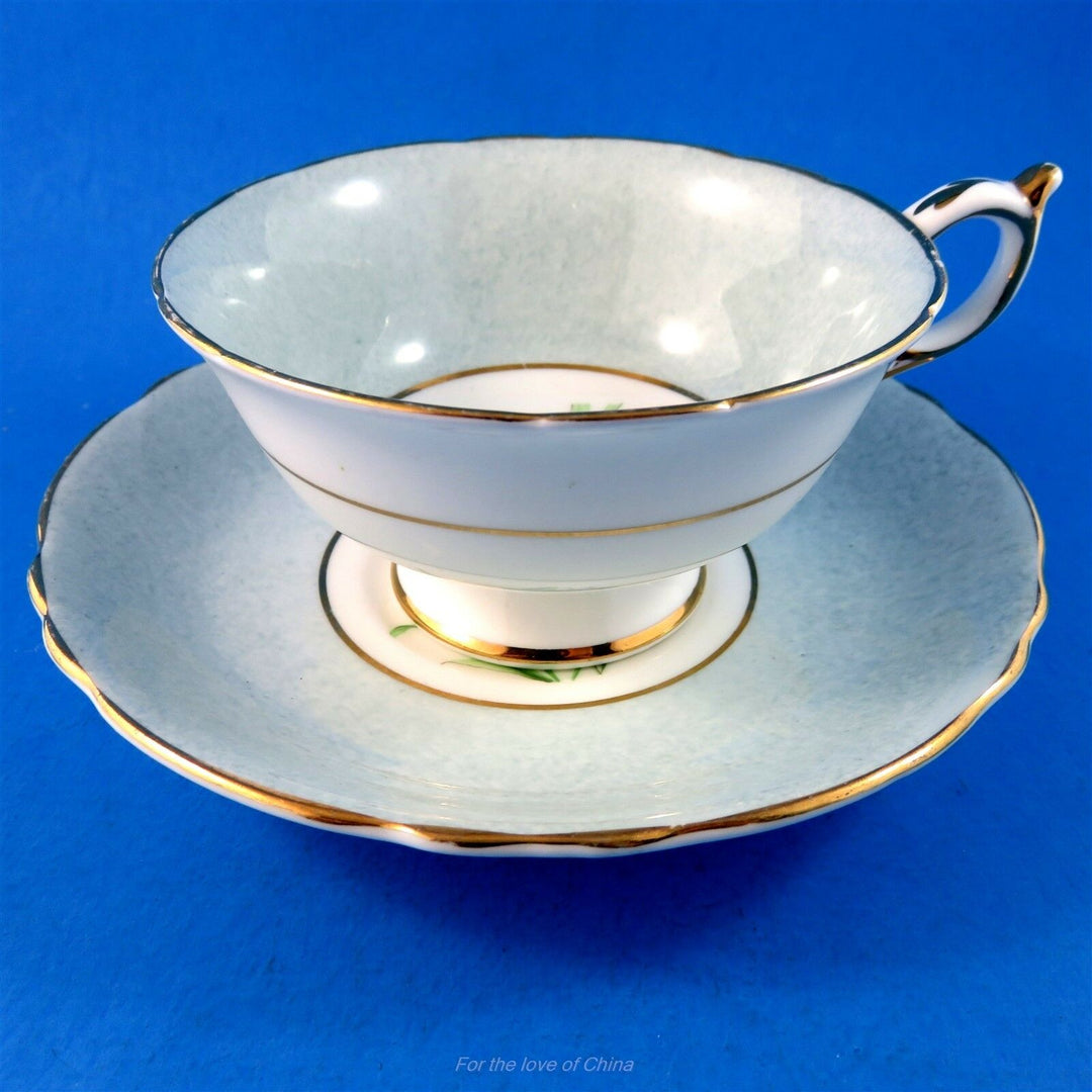 パラゴン　グレーのボーダーとピンクとブルーのコーンフラワー　カップ&ソーサー