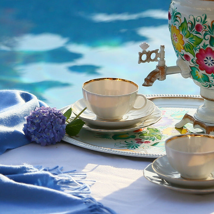 Snow White Teacup & Saucer by Imperial Porcelain Lomonosov LFZ IFZ