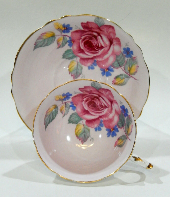 アンティーク　パラゴンのカップ＆ソーサー　ピンクローズと忘れな草２