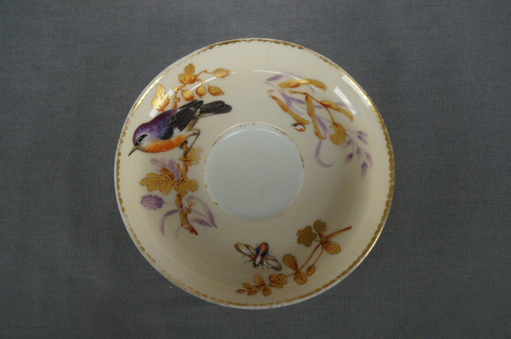 ロイヤルウースター＆ティファニー、エナメル彩色の鳥と虫、アイボリー、蝶の取っ手のカップ