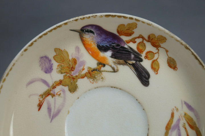 ロイヤルウースター＆ティファニー、エナメル彩色の鳥と虫、アイボリー、蝶の取っ手のカップ