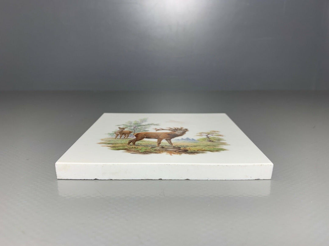 SELTENE MEISSEN FLIESE KACHEL HIRSCH WILDMALEREI NACH RIDINGER 10x10cm 1.WAHL