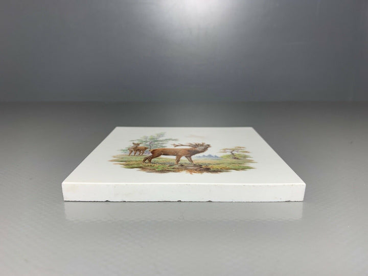 SELTENE MEISSEN FLIESE KACHEL HIRSCH WILDMALEREI NACH RIDINGER 10x10cm 1.WAHL
