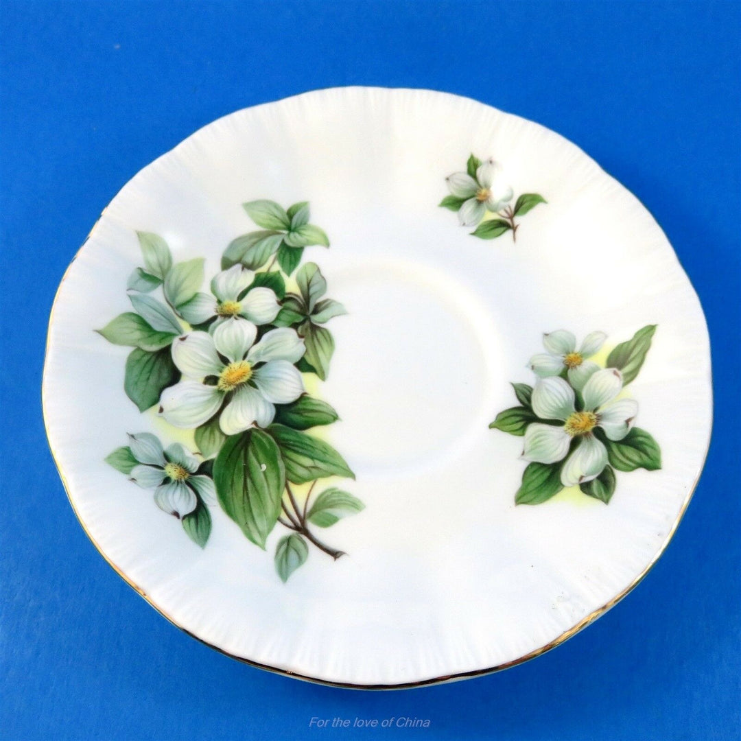 パラゴン　カナダのプロヴィンシャルフラワー花水木のカップ＆ソーサー