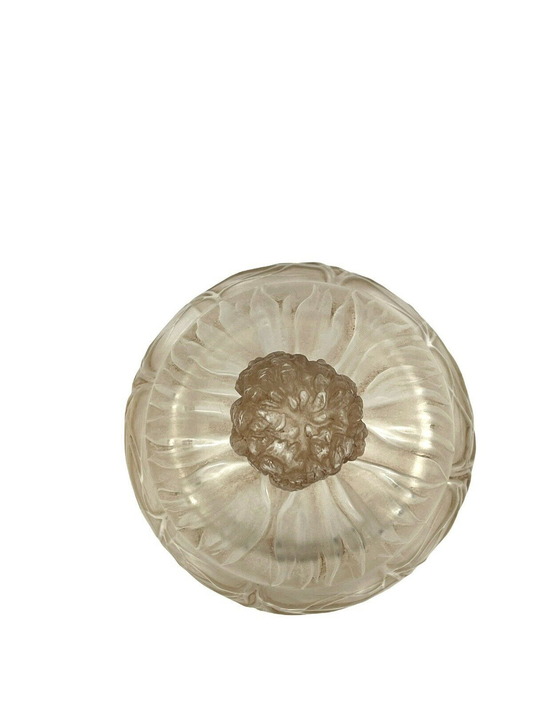 Boite Cheveux De Vénus Patiné Sépia René Lalique Brown Stain Box Jar R.Lalique