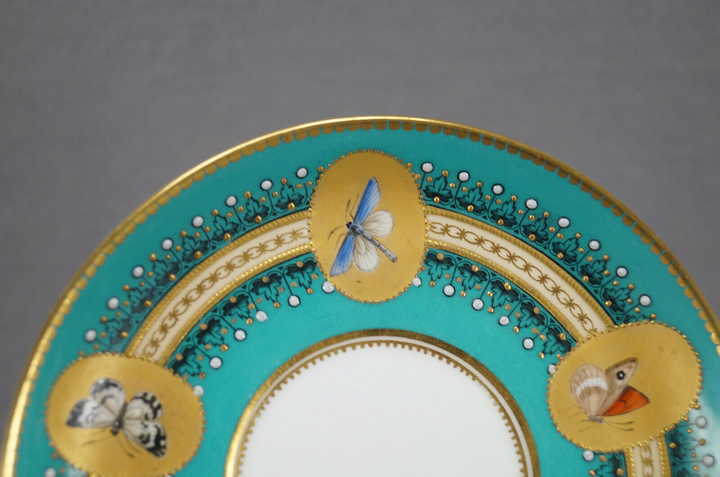 ロイヤルウースター　バタフライのカップ＆ソーサー