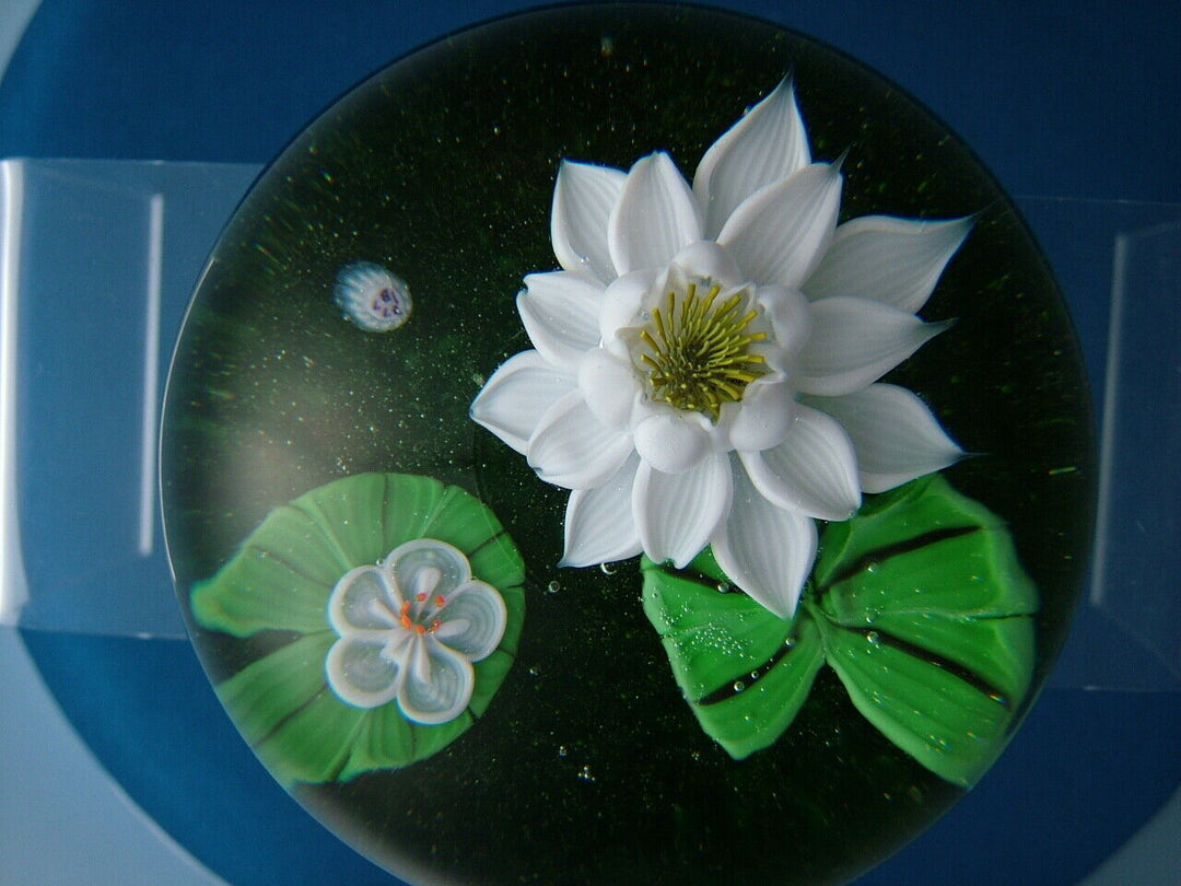 Beautiful Ltd. ed. Baccarat 1977 Water Lillies Paperweight