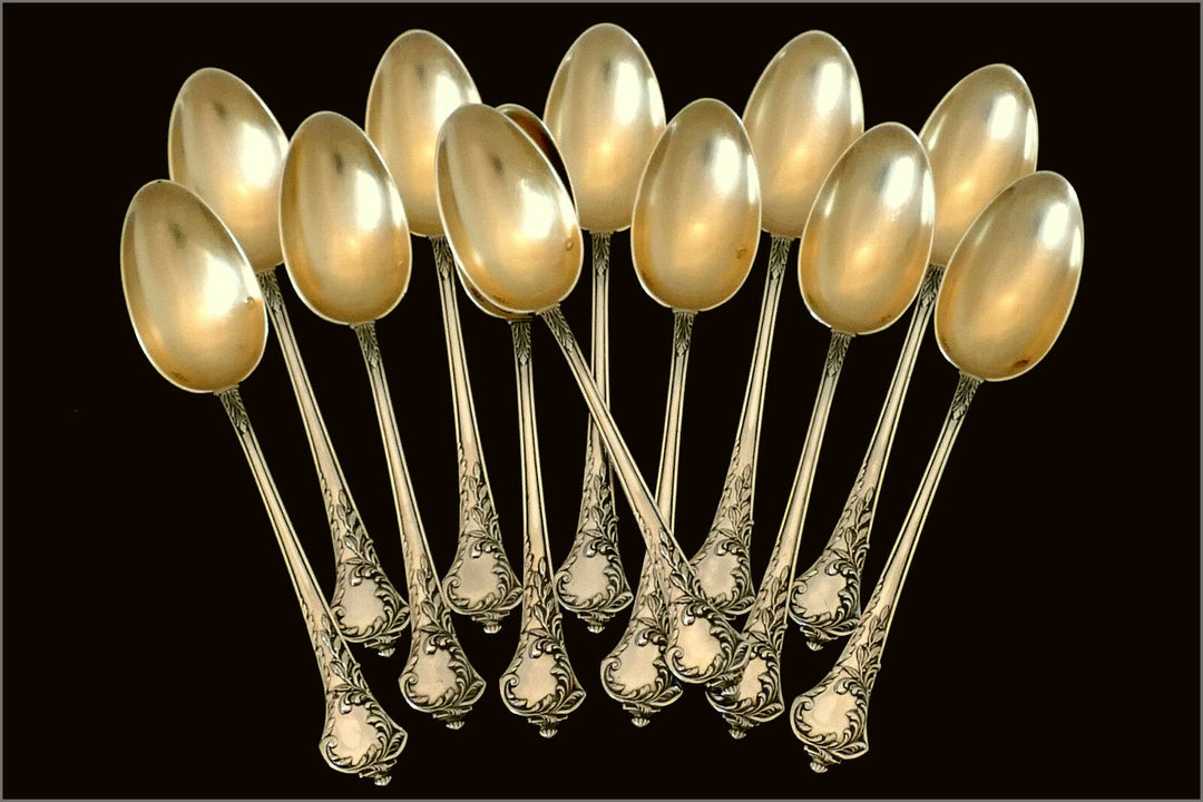 Debain French Sterling Silver 18K Gold Tea Service 14 pc w/original box Rococo