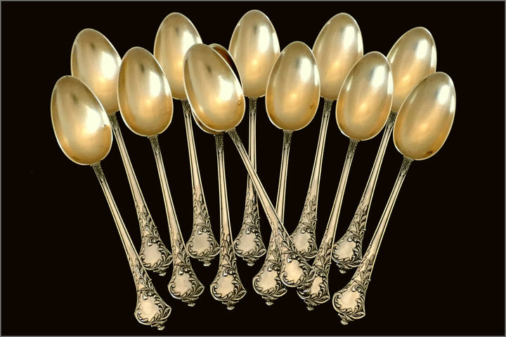 Debain French Sterling Silver 18K Gold Tea Service 14 pc w/original box Rococo