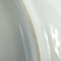 Royal Copenhagen Flora Danica Platter 30cm Plate Dinner Finest Botanical Encyc