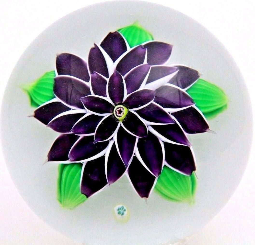 Fascinating BACCARAT Purple DAHLIA Blooming FLOWER Art Glass PAPERWEIGHT