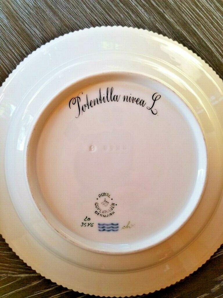 Royal Copenhagen Flora Danica Rim Soup Plate- 8.75" #3546