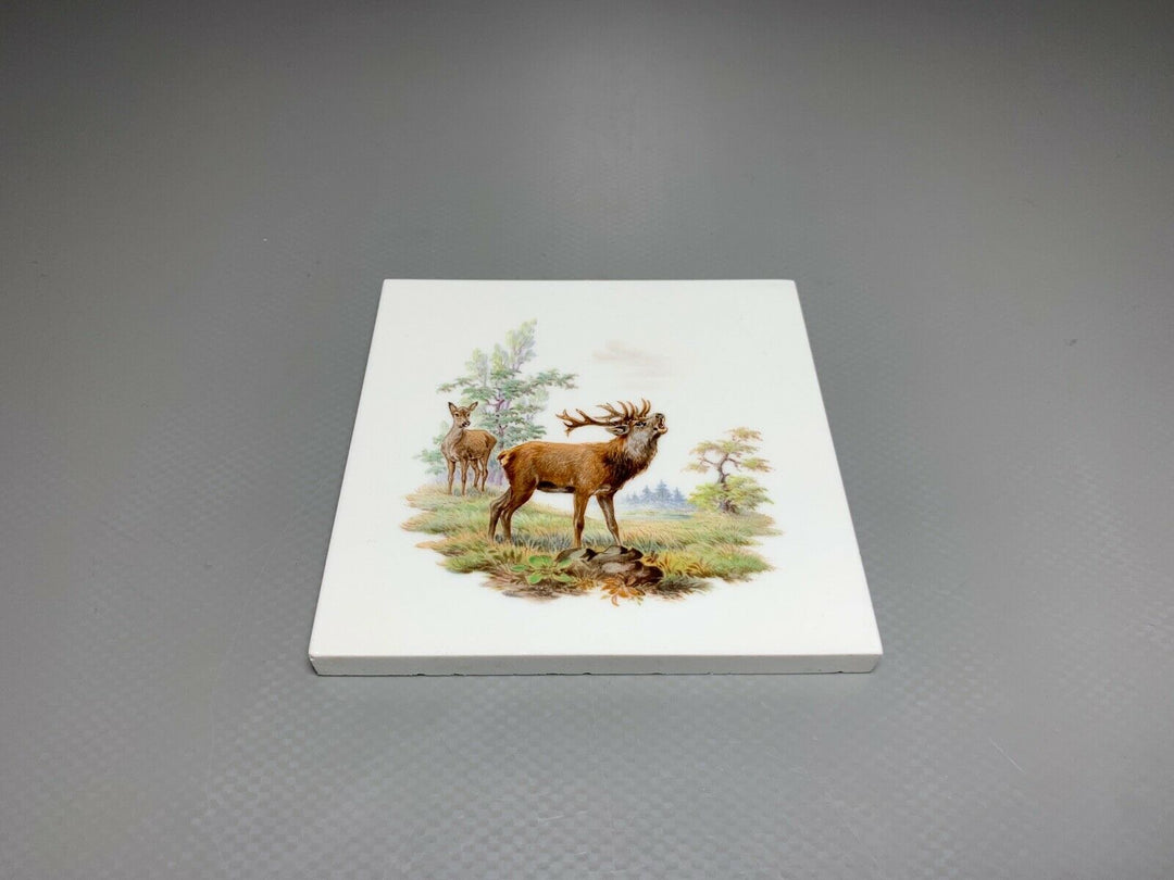 SELTENE MEISSEN FLIESE KACHEL HIRSCH WILDMALEREI NACH RIDINGER 10x10cm 1.WAHL