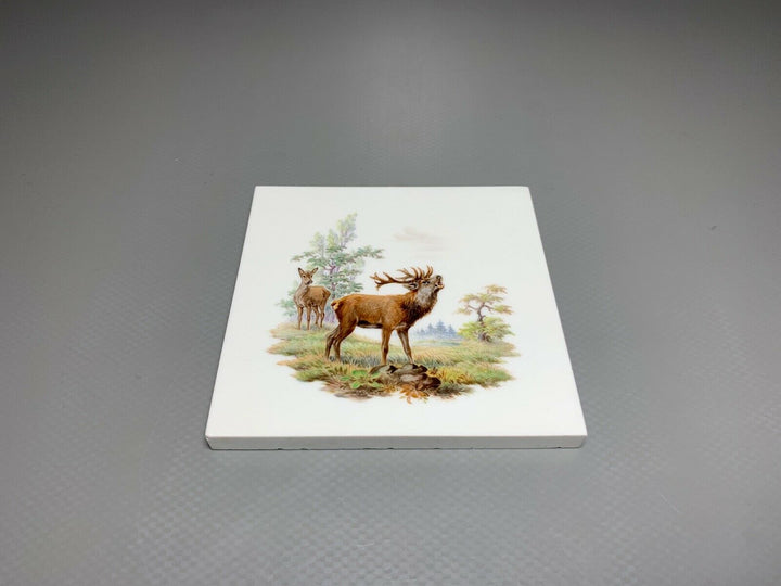 SELTENE MEISSEN FLIESE KACHEL HIRSCH WILDMALEREI NACH RIDINGER 10x10cm 1.WAHL