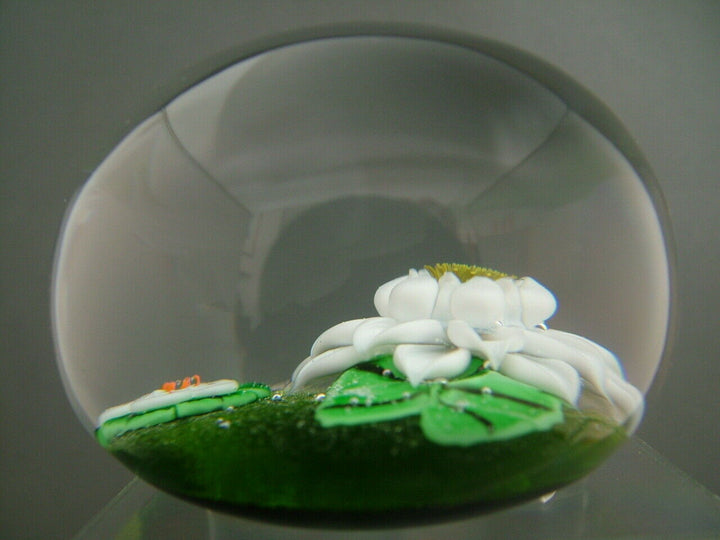 Beautiful Ltd. ed. Baccarat 1977 Water Lillies Paperweight