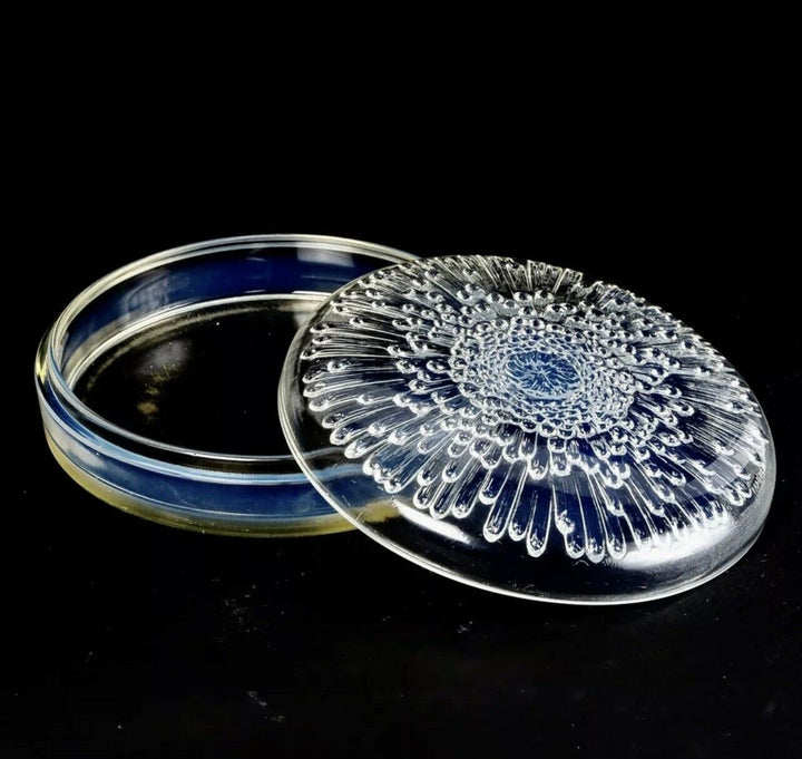 Boite Tokyo Chrysanthème Opalescence René Lalique Opalescent Box Jar R.Lalique