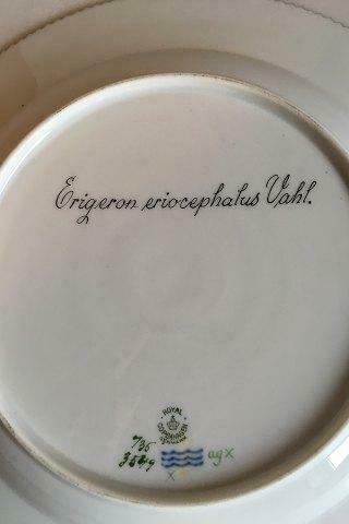Royal Copenhagen Flora Danica Dinner Plate No 735/3549
