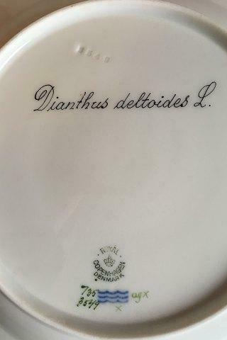 Royal Copenhagen Flora Danica Dinner Plate No 735/3549